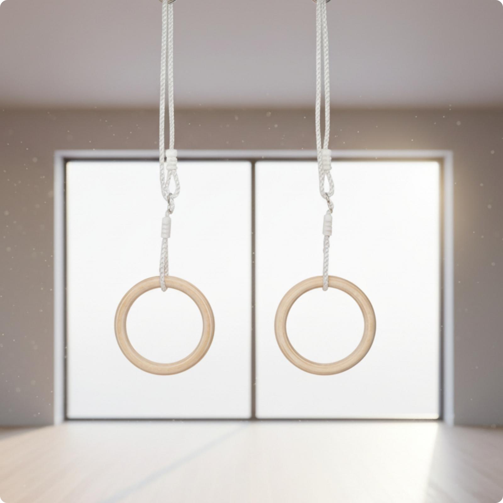 Anéis de Ginástica Ajustáveis  - Gymnastic Ring avaliação e preço