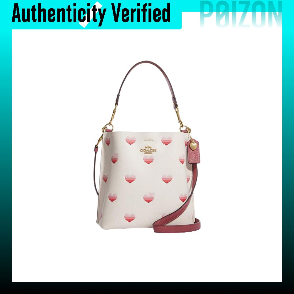 Bolsa Bucket COACH Mollie em C - Chalk Bag avaliação e preço